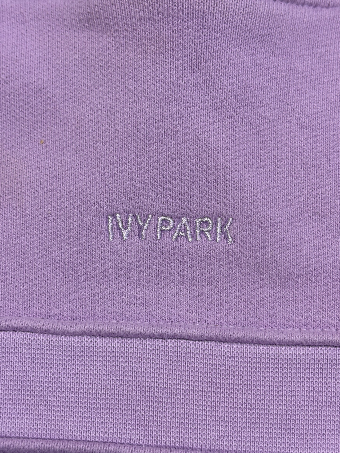 Adidas x Ivy Park Hoodie