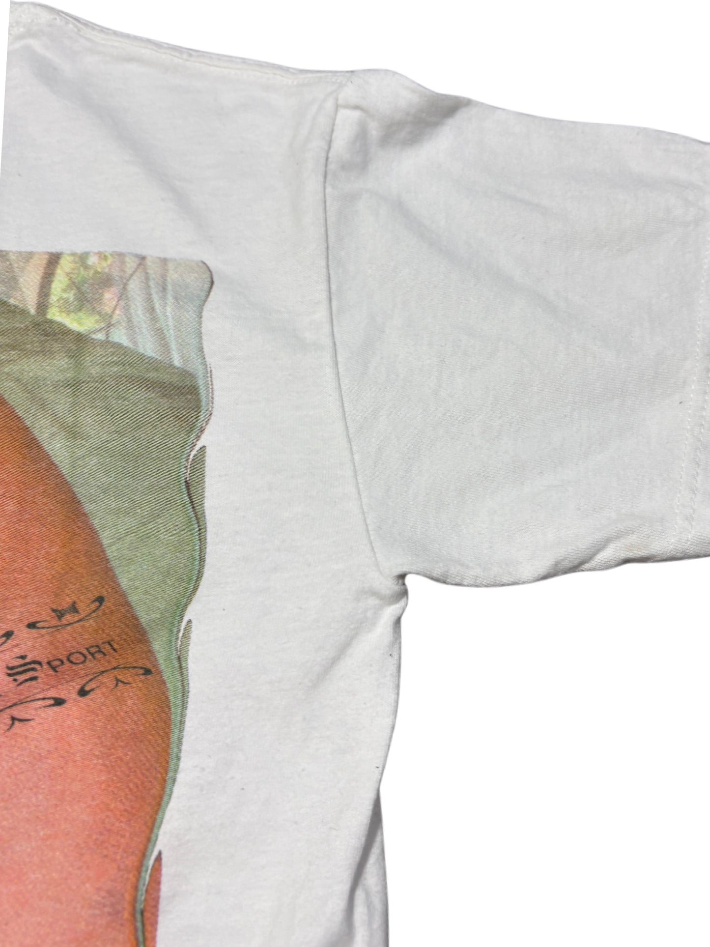 2000s *RARE* TAPOUT ASS TSHIRT ☣️